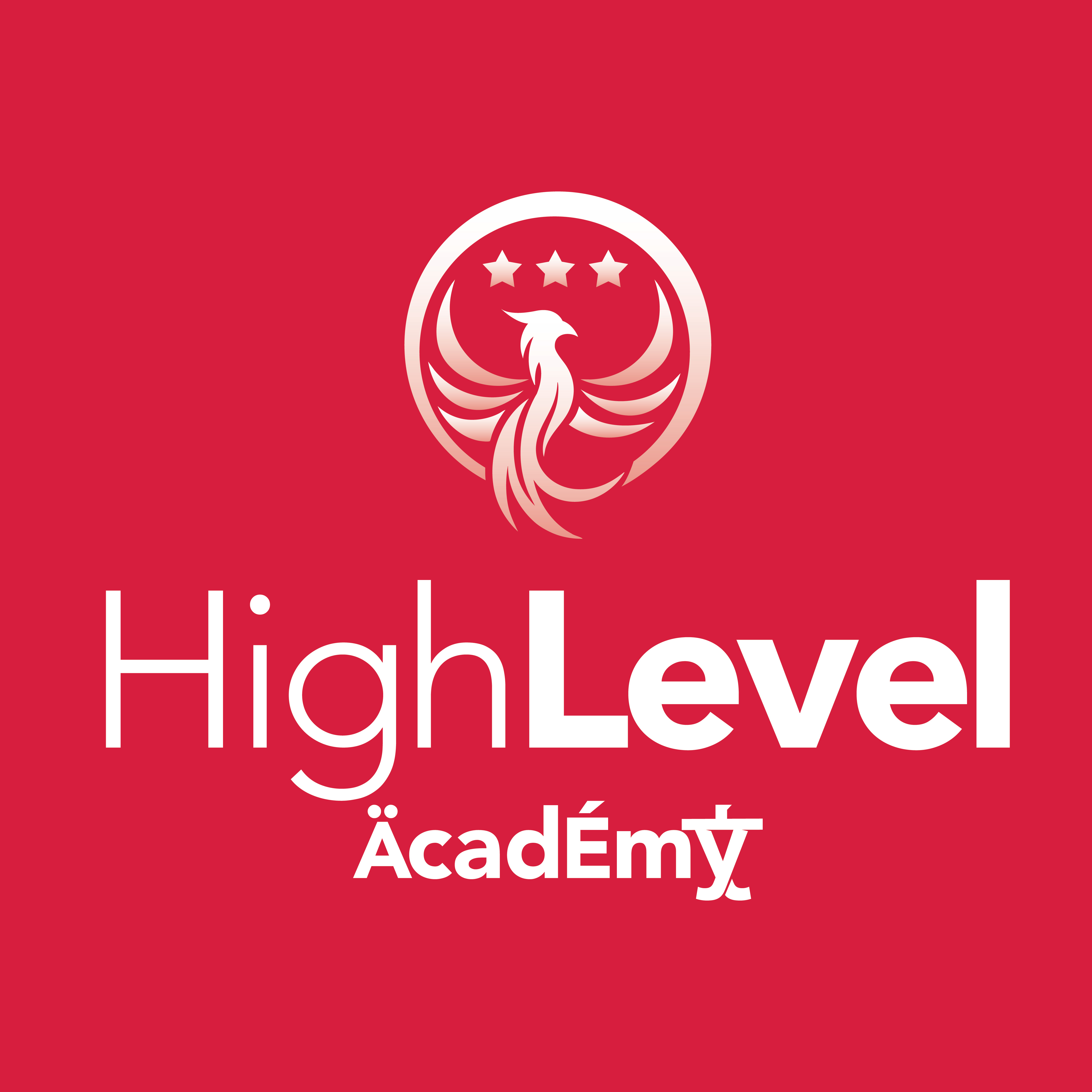 Academia Virtual HIGH LEVEL
